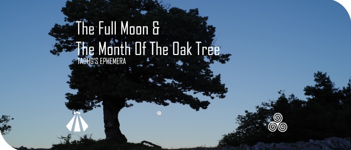 20170607 THE FULL MOON AND THE MONTH OF THE OAK TREE EPHEMERA